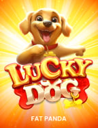 เล่น เกม โจ๊ก เกอร์ สุดมันส์ กับโอกาสชนะสูง